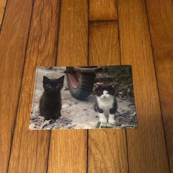 5 Small Plastic Card Folders - Picture 4 of 11